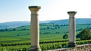 Weingut Pfeffingen
