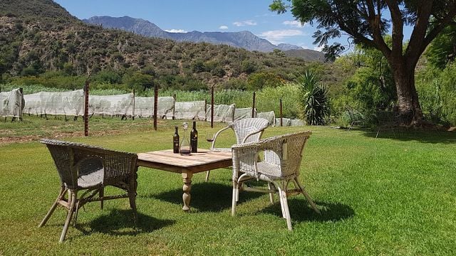 Dégustation de vins et visite chez Peter Bayly Wines