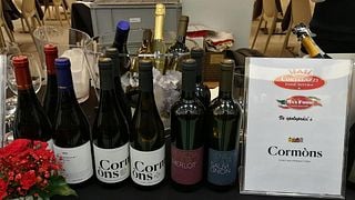Cata de vinos y visita guiada a la Cantina Produttori Cormons