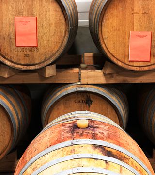 Degustazione di vini e visita al Domaine du Clos d'Alari