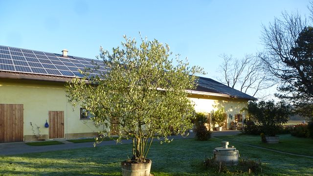 Weinprobe im Weingut Pock
