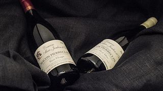 Burgundy’s Finest: Natural Wine Tasting at Domaine Jambon