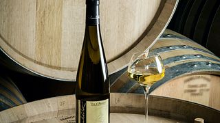 Vins Schoenheitz