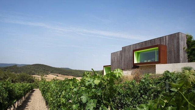 Mas Rodó Vitivinicola