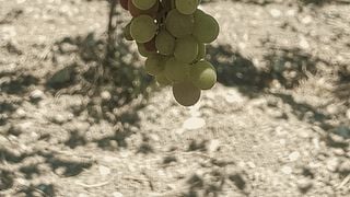 Heraklion Wine Country Tour - Private