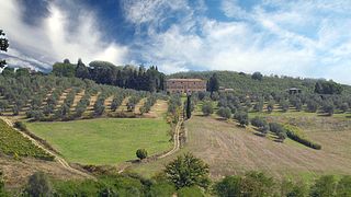 EXPÉRIENCE VIN BIO VIP au Domaine Montechiaro