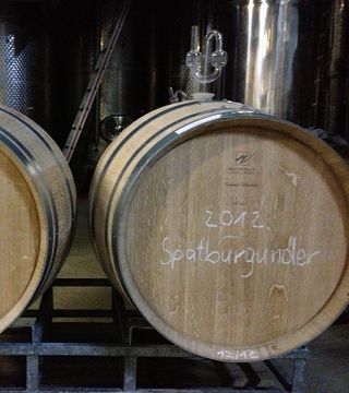 Cata de vinos y visita guiada en Weingut Reinhardt