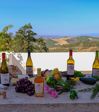 Sensation de l'Atlantique : Profitez d'une visite de vignoble et d'une dégustation de 3 vins accompagnés de fromages locaux 