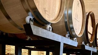 Piedmont Wine Journey at Piercarlo Culasso