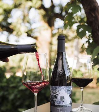Wine Tasting