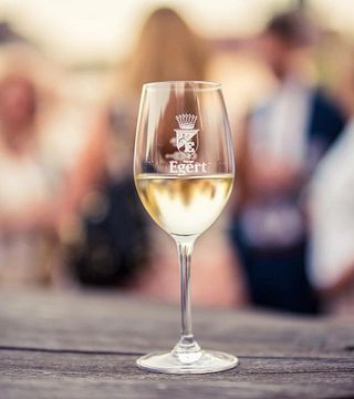 Dégustation de vins au Weingut Egert