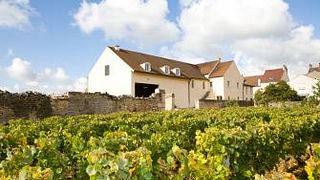 Domaine Yves Boyer Martenot