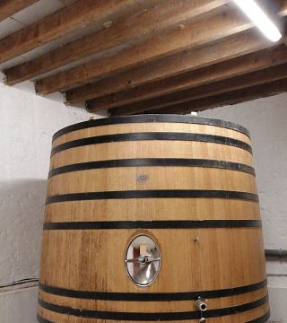 Domaine De Treille