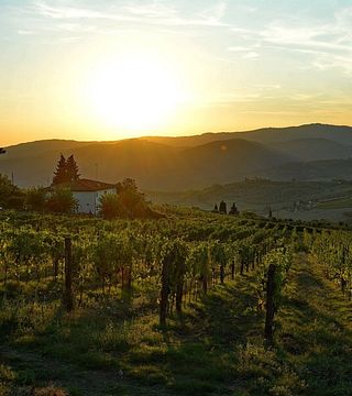 Degustação de vinhos na Fattoria Lavacchio