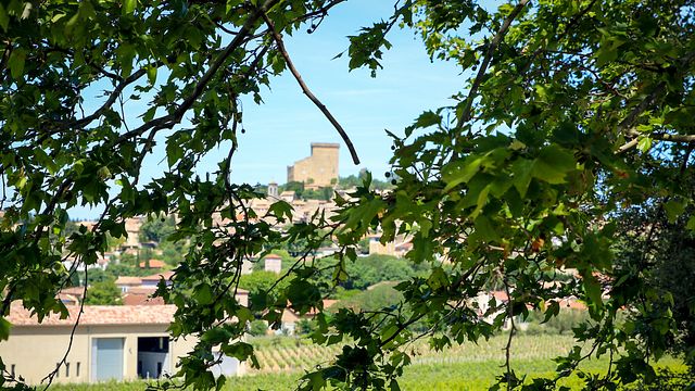 Châteauneuf du Pape intensive vineyard & fine wine experience, the best of the Rhône valley wines and history & origin of the appellation