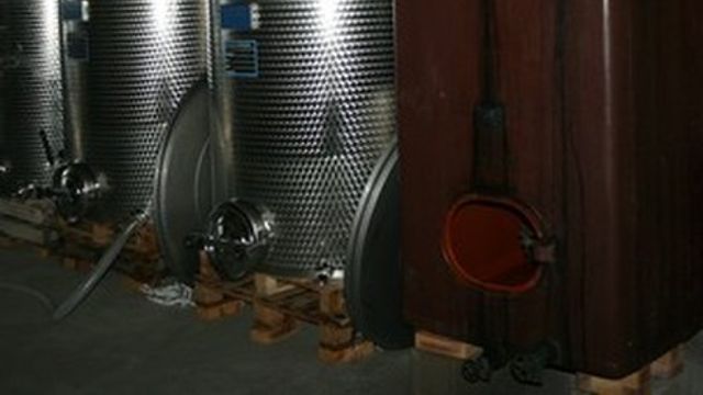 Degustazione di vini premium al Domaine Thill