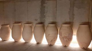 Visita Montrubi, Degustazione Vini ed Espressioni del Piccolo Territorio
