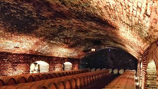 Weingut Concha y Toro – Klassische Tour mit Transport – REGELMÄSSIG