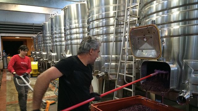 Degustação de vinhos e tour no Domaine Richeaume