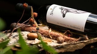 Degustação de vinhos populares na Sanavardo Estate