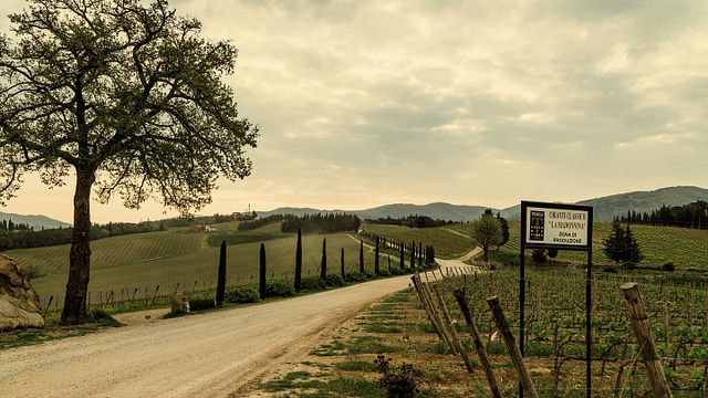 Casa Vinicola Triacca