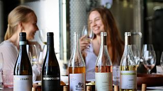 5 Visite et dégustation de vins