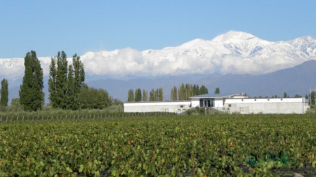 Mevi Winery
