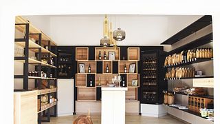 Organic Wine & Bites in Lower Austria