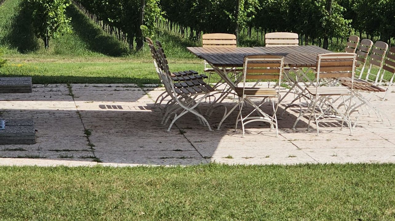 Esperienza Corvina | Poggio delle Grazie