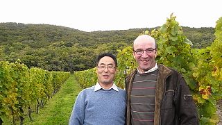 Cata de vinos y visita guiada en Frey