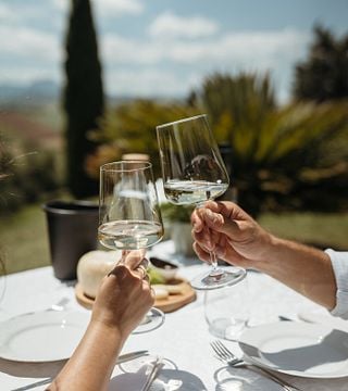 Marche Wine & Vineyard Discovery at Tenuta di Tavignano