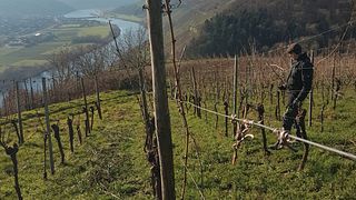 Weingut Sanders&Sanders