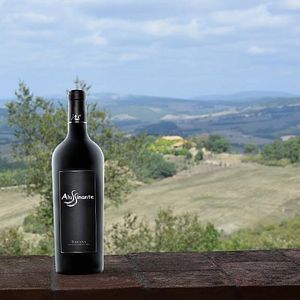 Degustação de vinhos e tour em Alussinante
