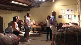 Private Carmignano Half Day Tour from Florence: The First Cabernet Sauvignon in Tuscany