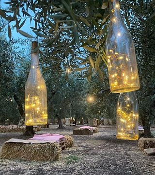 Picnic Under the Moonlight | Azienda Agricola La Vinarte