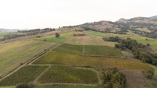 Meteore Ge-Liakou Winery