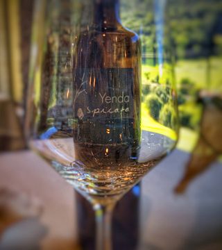 Vinprovning och rundtur på Bodegas Sel D'Aiz