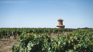 Vino y bicicleta en el Château Loudenne