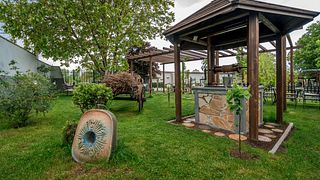Dégustation de vins haut de gamme au Marani de Guramishvili