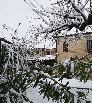 Rio Maggio Winery