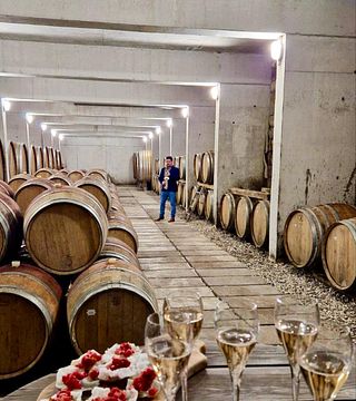 Brič Winery: A Gem in Slovenian Istria