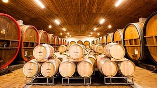Degustação de Vinhos Premium no Affentaler Winzer