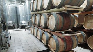 Dégustation de vins et visite à la Cantina Giovanni Moletteri
