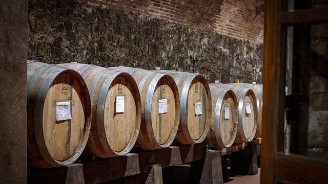 Fattoria Casalbosco
