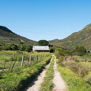 Maison Honey Badger au domaine Fybnos | Vignoble Dragonridge
