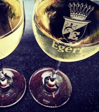 Weinprobe und Führung im Weingut Egert