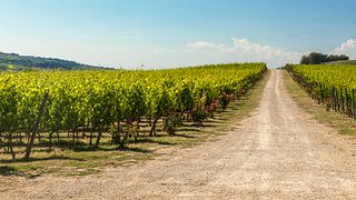 La sala de experiencias del vino Torriano