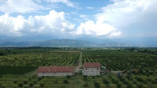 Mestvireni Winery