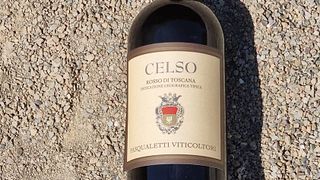 Pasqualetti Viticoltori