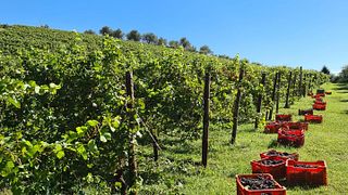 Vignaioli Contra' Soarda